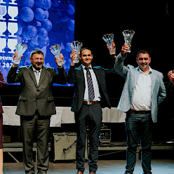 Vinska vigred 2025: Trije dnevi vina, tradicije, glasbe in pristne belokranjske energije