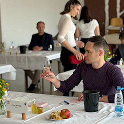 Razkriti so šampioni vin Vinske vigredi 2026